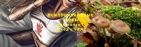 а пвп мука Алексеевка