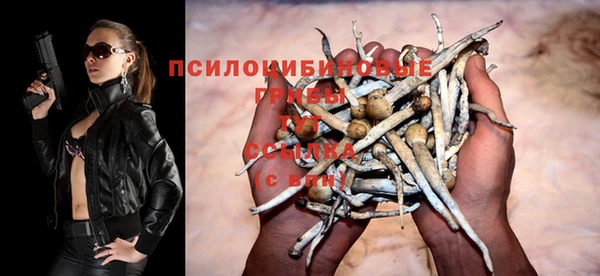 а пвп мука Алексеевка