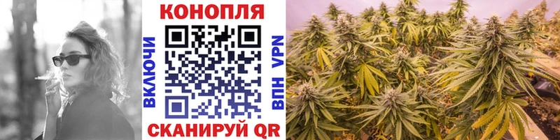 Канабис OG Kush Артём
